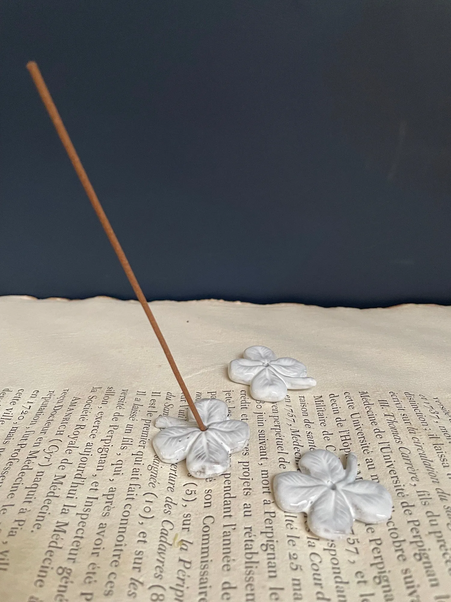 Astier de Villatte Chance Clover Incense Holder